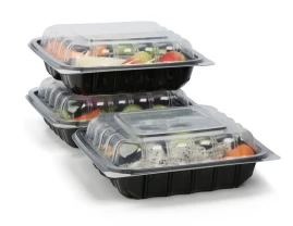 -3-Compartment-food-container-9-inch disposable fruit containers