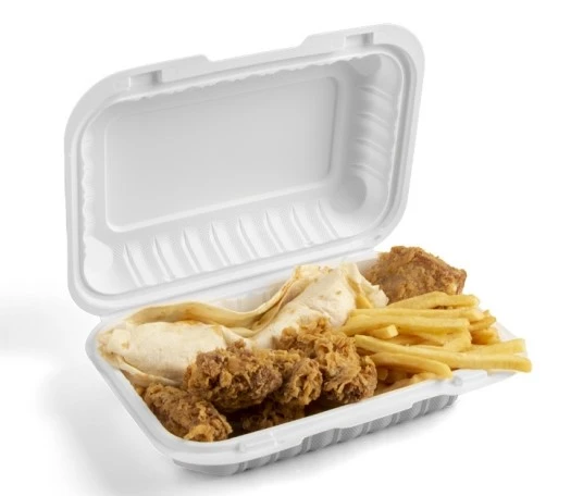 9x6 inch white leftover container