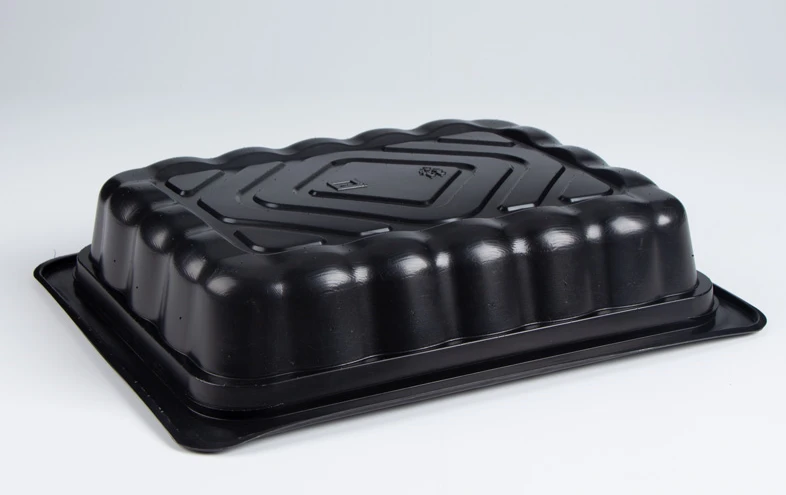 disposable lunch boxes