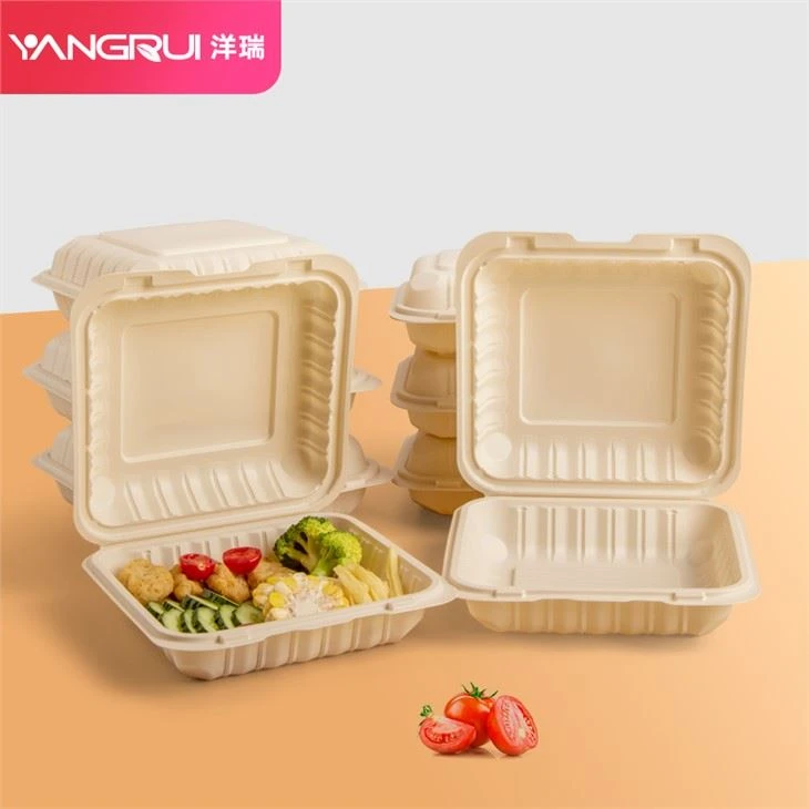 Hinged To-go Corn Starch Food Container 9x9inch
