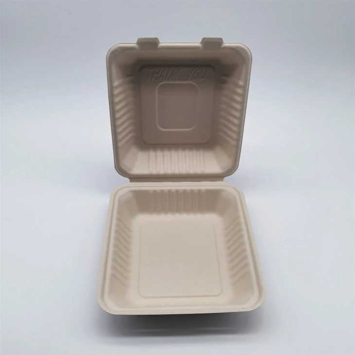 Biodegradable Sugarcane Bagasse Fibre Pulp Paper Takeout Container
