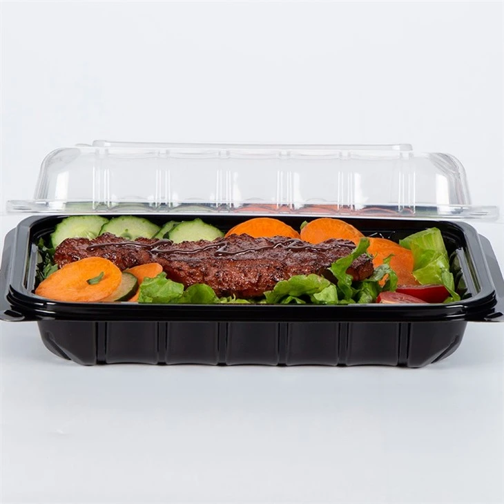 PP Plastic Food Boxes