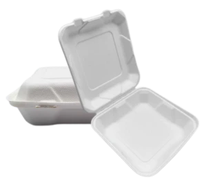 8'' Bagasse To Go kontejneri za hranu