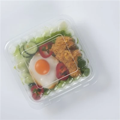 Za ponijeti jednokratnu hranu Bento kutija za ručak