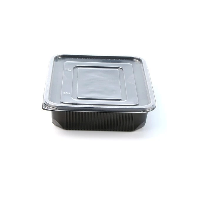 Takeout Bento Boxes With Airtight Lid