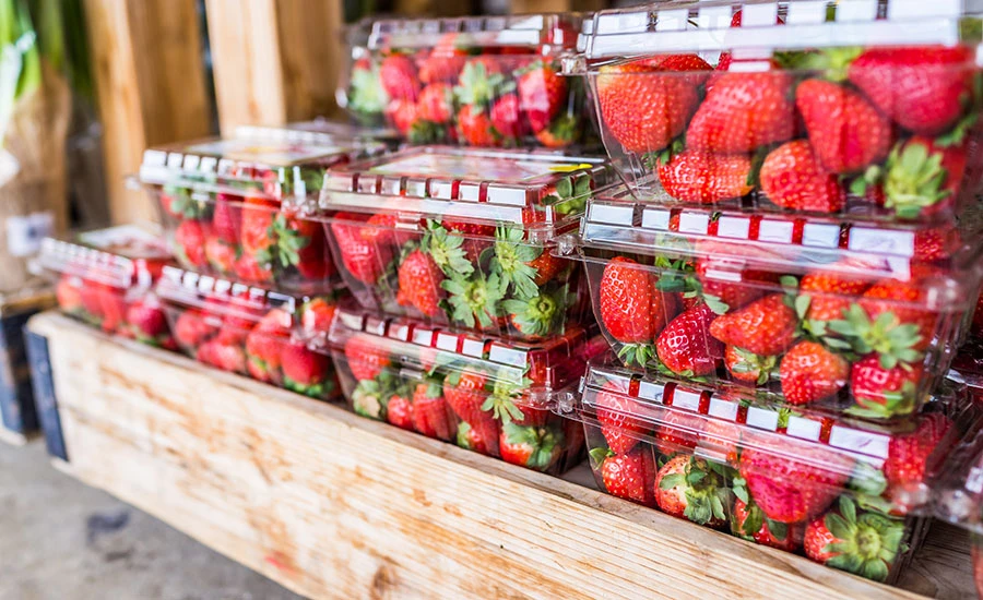 Supermarket Fresh Food