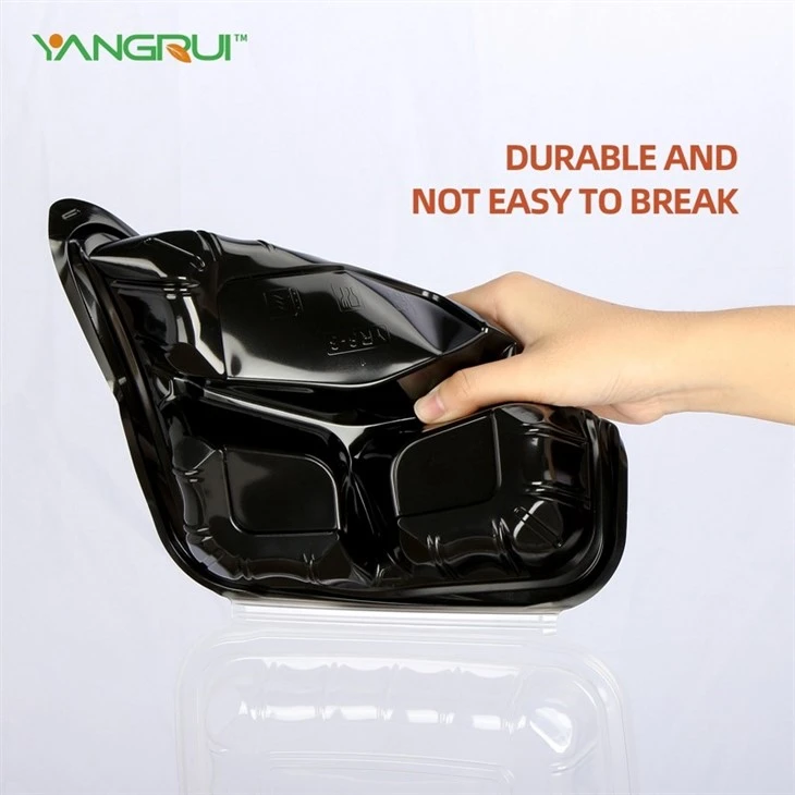 Plastic Take Out Food Container best