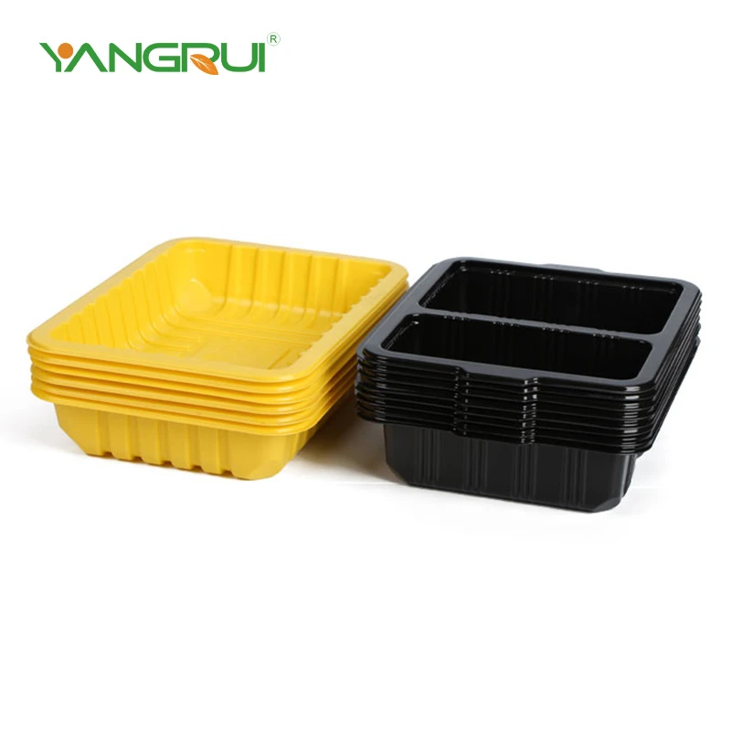 Tray Containers